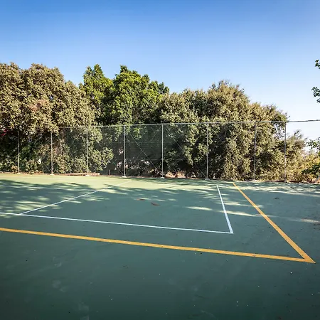 White Olive Premium Lindos Πεύκος