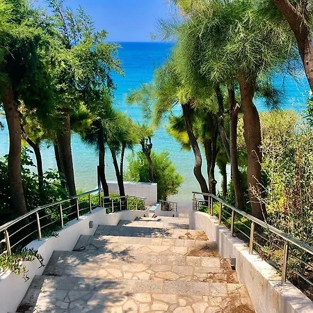 Ξενοδοχείο White Olive Premium Lindos