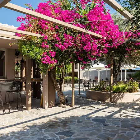 White Olive Premium Lindos