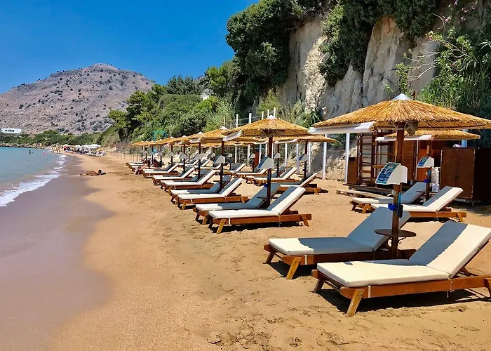 White Olive Premium Lindos