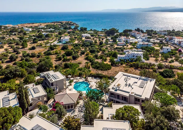 White Olive Premium Lindos Pefki (Rhodes)