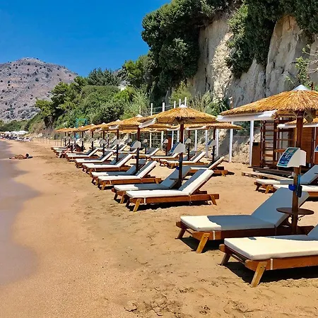 White Olive Premium Lindos