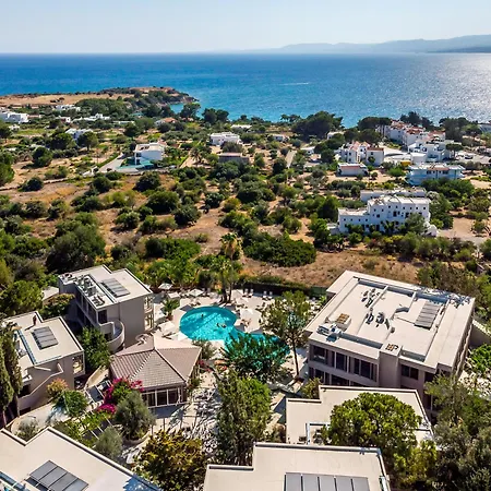 White Olive Premium Lindos Pefki