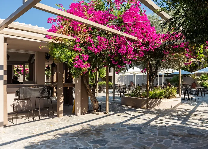 White Olive Premium Lindos